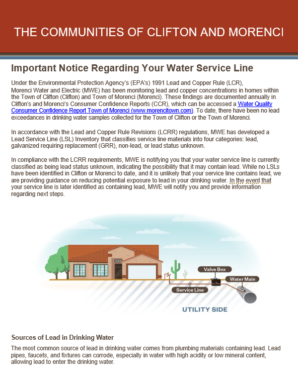 Combined Annual Possible LSL Notification